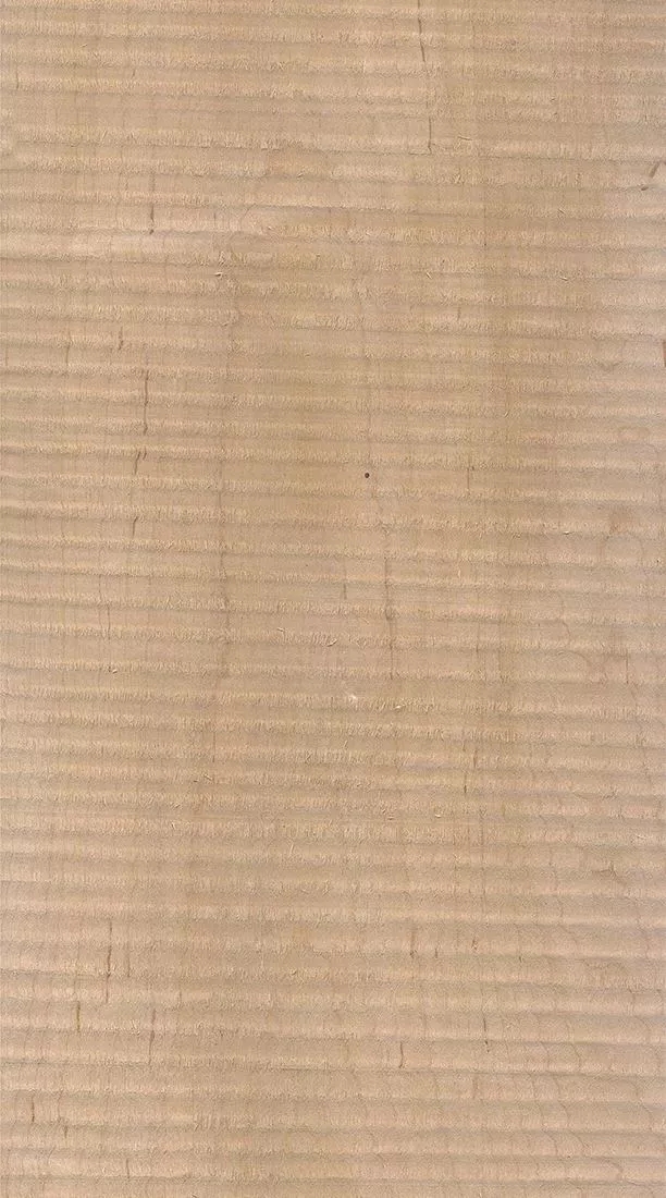 桦木的芯材颜色是淡红棕色，边材颜色近白色，板面宽且带影的木皮市场价格良好，纹理通常是直纹和波浪纹，质地均匀，板面有很好的自然光泽度。.webp.jpg
